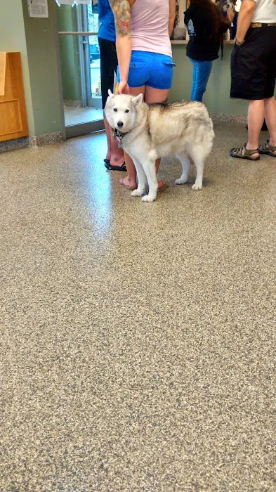 Glens Falls Animal Hospital Picture 5