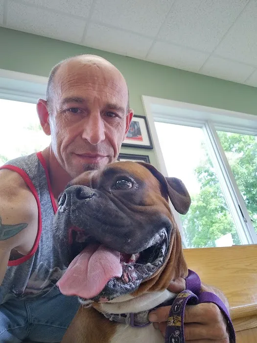 Glens Falls Animal Hospital Picture 4