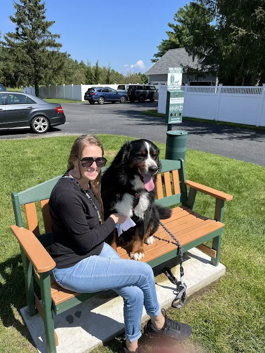 Glens Falls Animal Hospital Picture 2