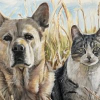 For Pet's Sake Veterinary Center ico