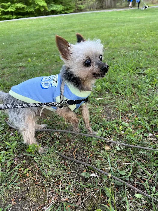 For Pet's Sake Veterinary Center Picture 10