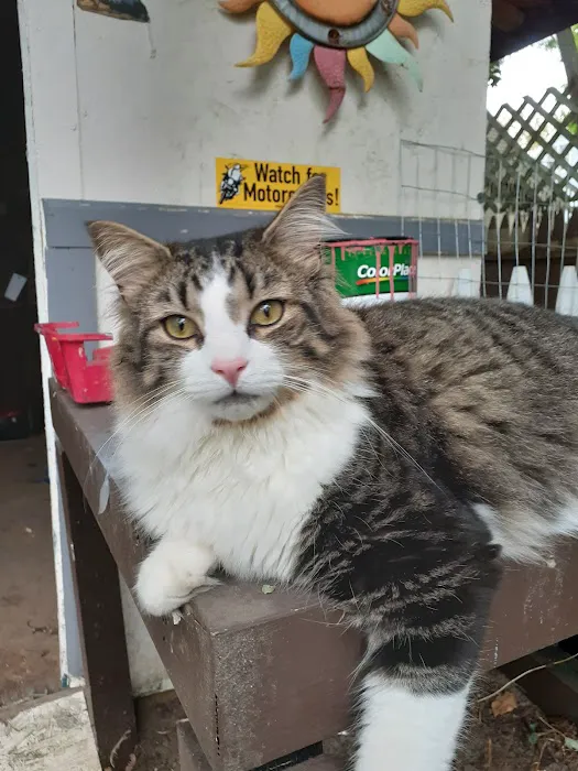 For Pet's Sake Veterinary Center Picture 7