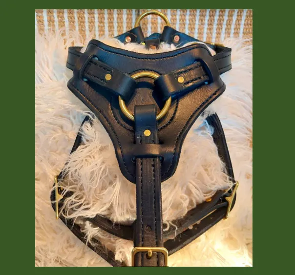 Spartan Leather LLC Picture 2