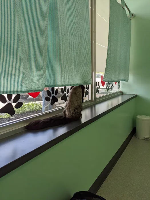 Quaker Animal Hospital Picture 2