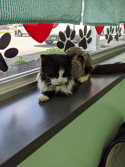 Quaker Animal Hospital Picture 1