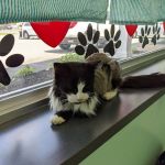 Quaker Animal Hospital