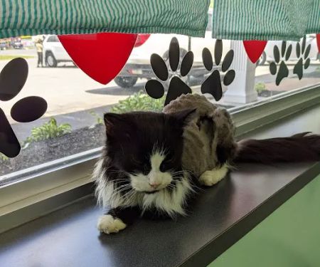 Quaker Animal Hospital