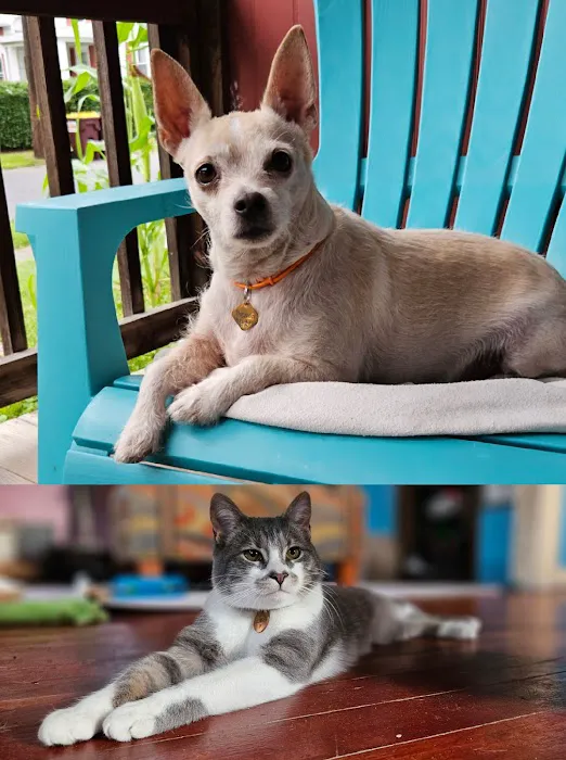 Quaker Animal Hospital Picture 3
