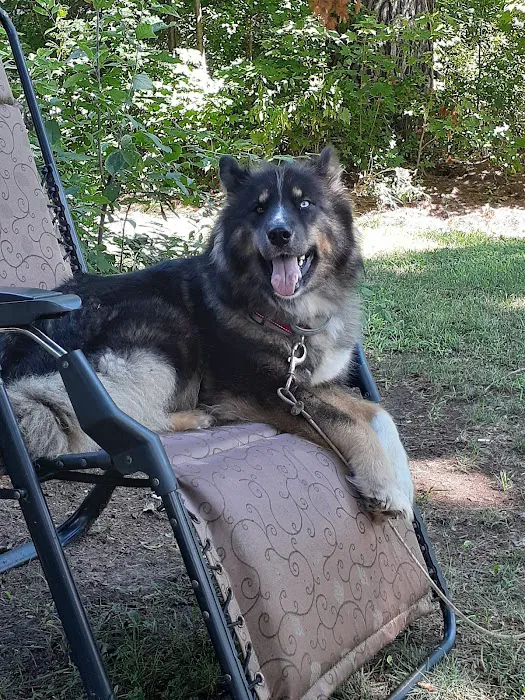 Moreau Animal Clinic Picture 9