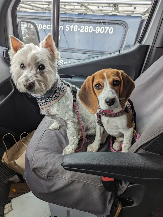 VCA Adirondack Animal Hospital Picture 5