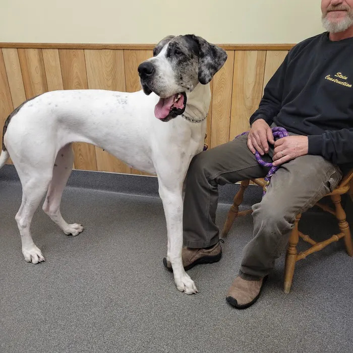 VCA Adirondack Animal Hospital Picture 9