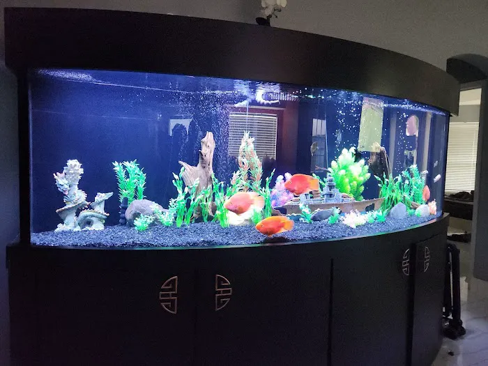 Deep Aquatic, custom aquarium sales and services Picture 10