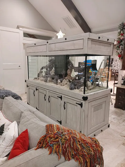 Deep Aquatic, custom aquarium sales and services Picture 8