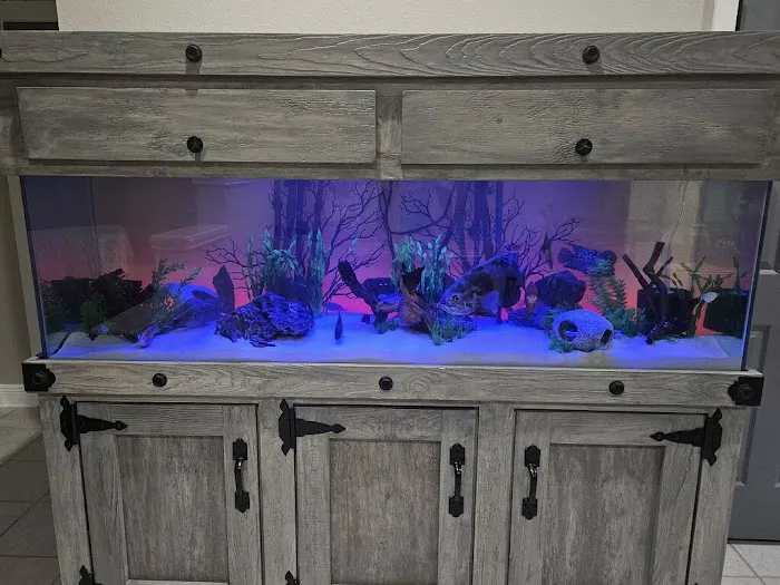Deep Aquatic, custom aquarium sales and services Picture 7