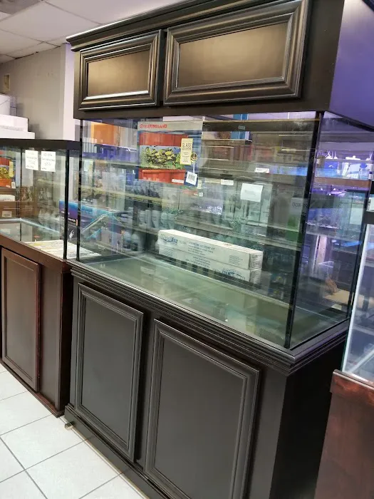 Deep Aquatic, custom aquarium sales and services Picture 1