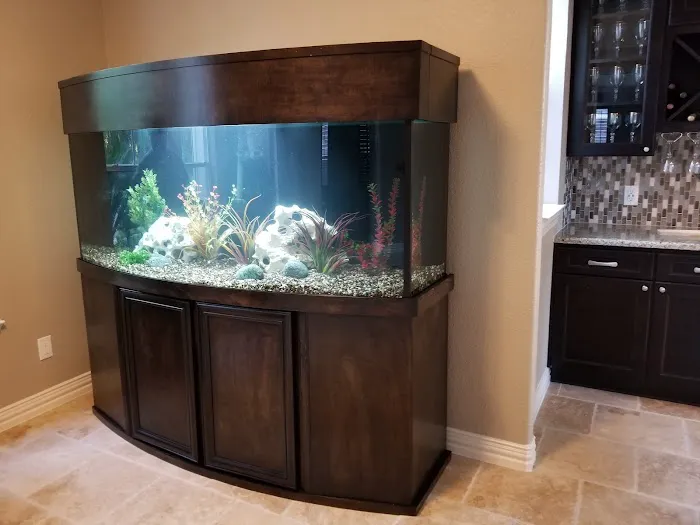 Deep Aquatic, custom aquarium sales and services Picture 6