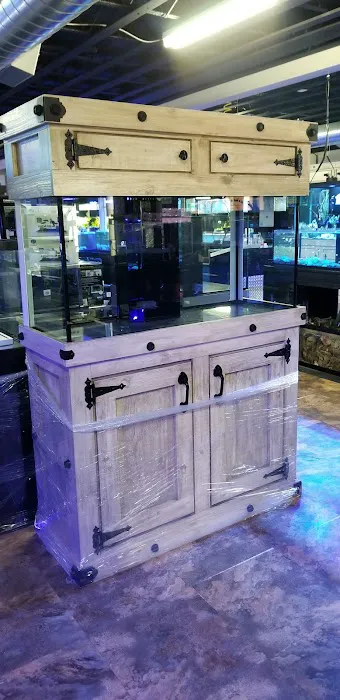 Deep Aquatic, custom aquarium sales and services Picture 5