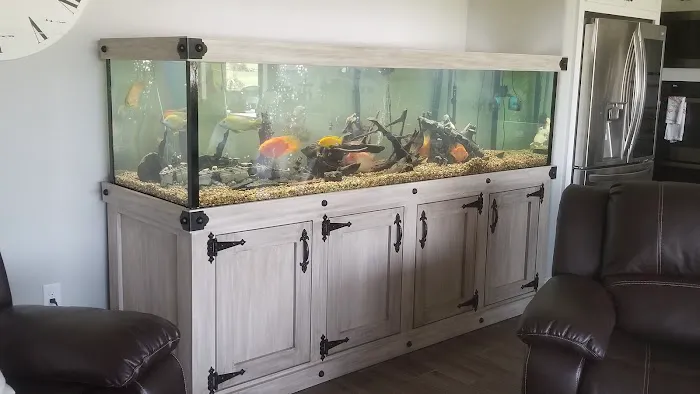 Deep Aquatic, custom aquarium sales and services Picture 2