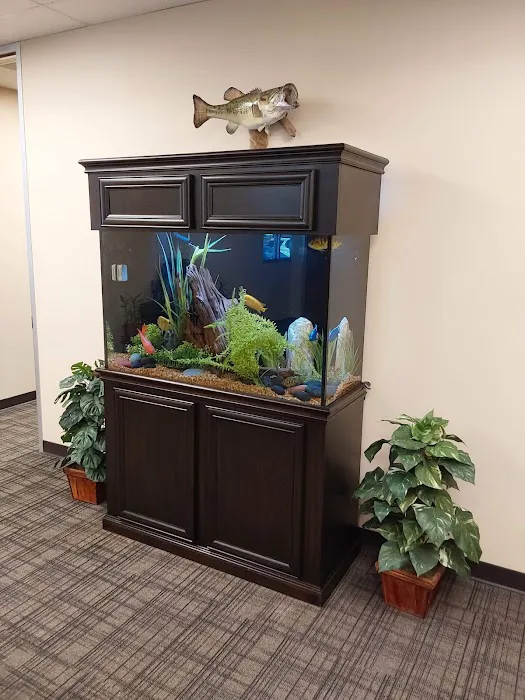 Deep Aquatic, custom aquarium sales and services Picture 3