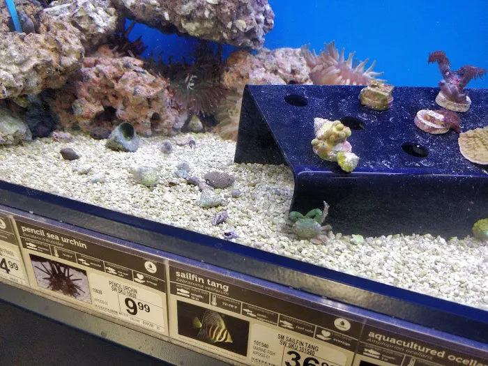 Petco Picture 1