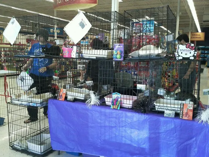Petco Picture 7