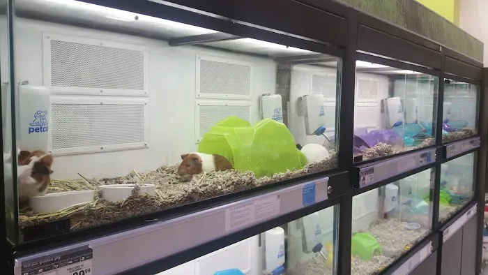 Petco Picture 4