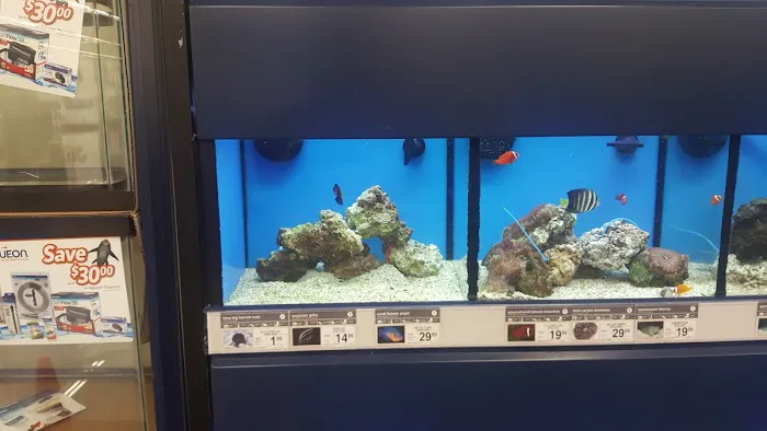Petco Picture 8