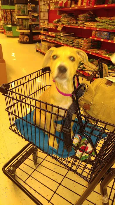 Petco Picture 6