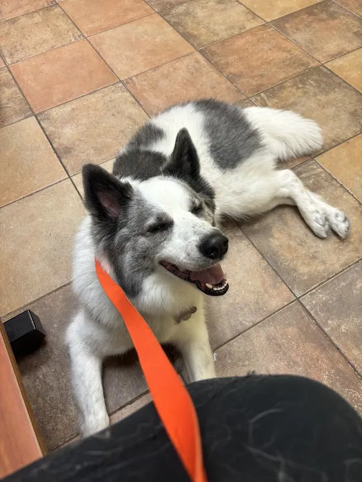 Banfield Pet Hospital Picture 2
