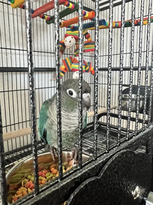 A Parrots Cove Picture 9