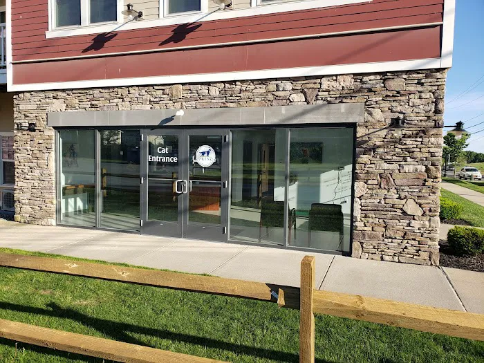 Springs Family Veterinary Hospital Picture 4