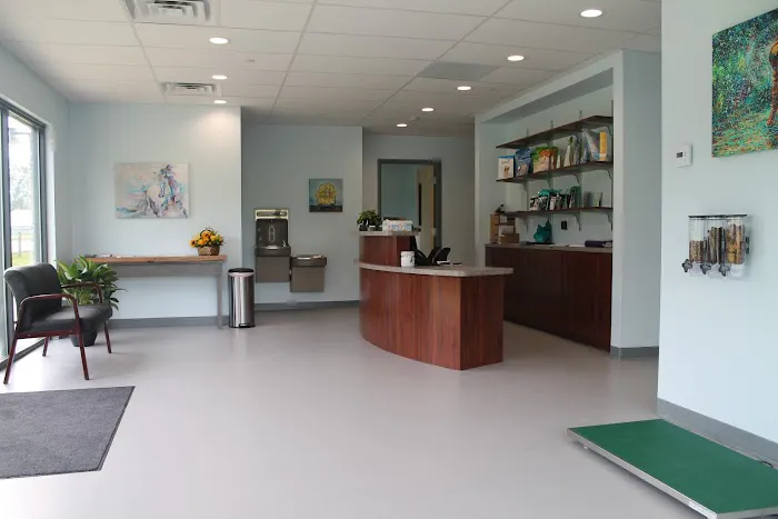 Springs Family Veterinary Hospital Picture 8