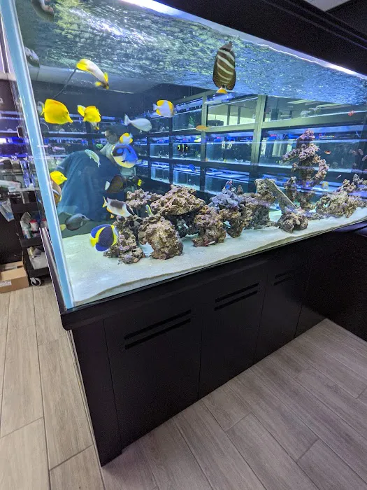 Nemo & Friends Aquariums Picture 2