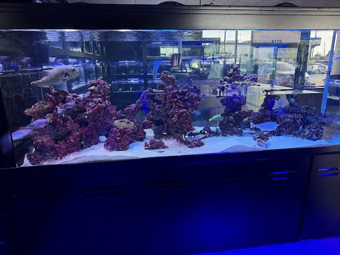 Nemo & Friends Aquariums Picture 1