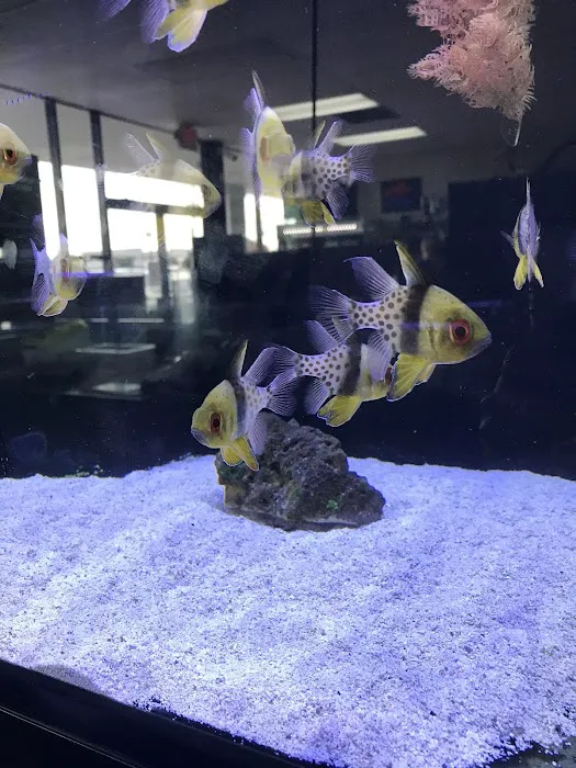 Nemo & Friends Aquariums Picture 9