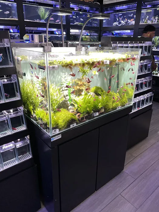 Nemo & Friends Aquariums Picture 7