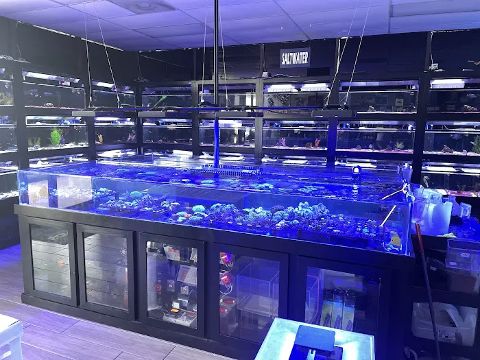 Nemo & Friends Aquariums Picture 4
