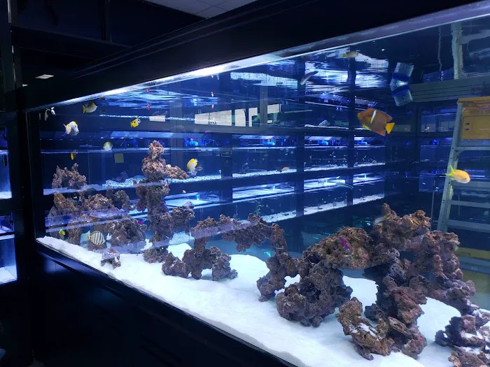 Nemo & Friends Aquariums Picture 10