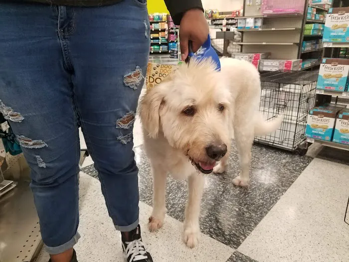 Petco Picture 9