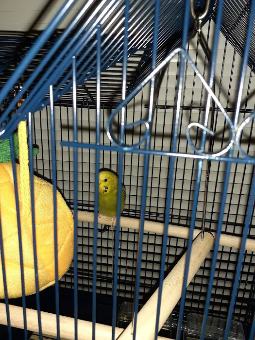 Petco Picture 3