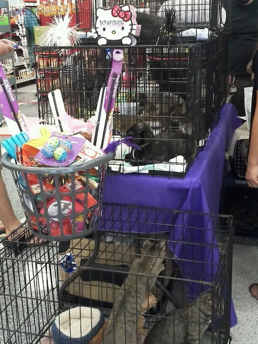 Petco Picture 6