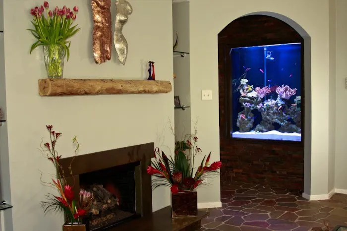 Exotic Reef Designs Picture 1
