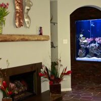 Exotic Reef Designs ico