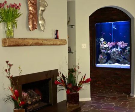 Exotic Reef Designs