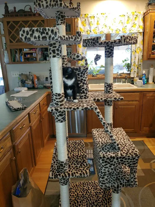 Hearthstone Veterinary Hospital Picture 2