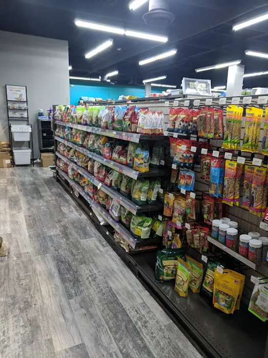 Pet Supermarket Picture 5