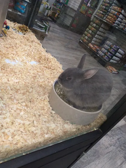 Pet Supermarket Picture 2