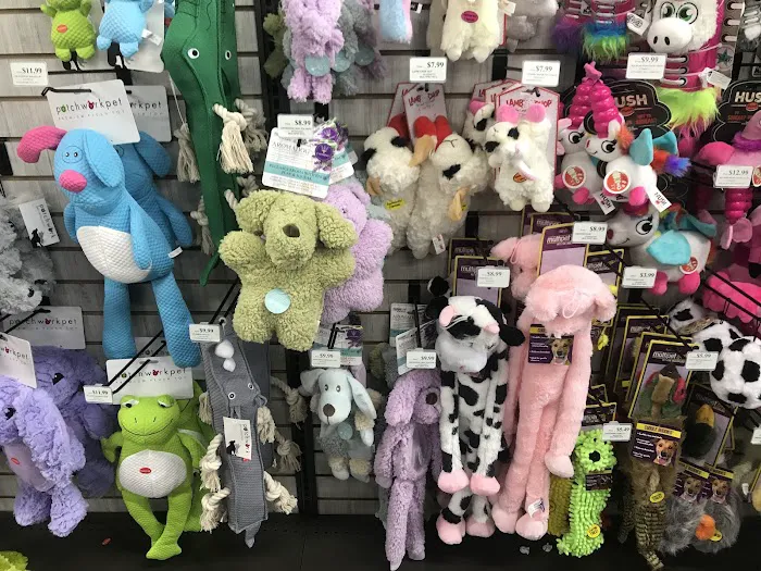 Pet Supermarket Picture 6