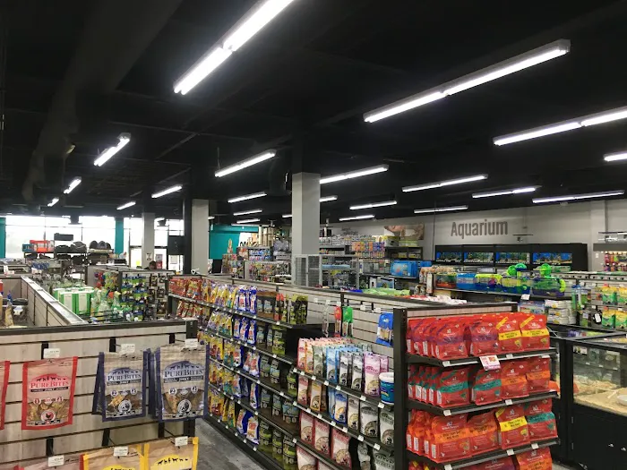 Pet Supermarket Picture 9