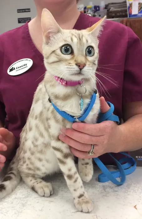 Countryside Veterinary Clinic Picture 8